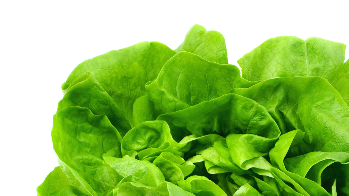 Michigan lifts special guidance for lettuce as cyclosporiasis cases decline 