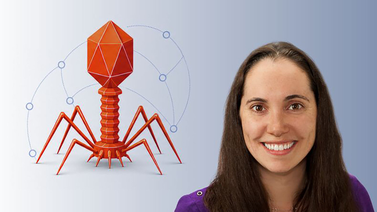 The National Institute of Allergy and Infectious Diseases (NIAID) has awarded three new Centers for Accelerating Phage Therapy to Combat ESKAPE Pathogens (CAPT-CEP) — the first coordinated U.S. research network dedicated to building the preclinical tools, assays, and models needed to translate bacteriophage (phage) therapy into a reliable treatment for antibiotic-resistant infections. (Katie Nauman/National Institutes of Health/TNS)