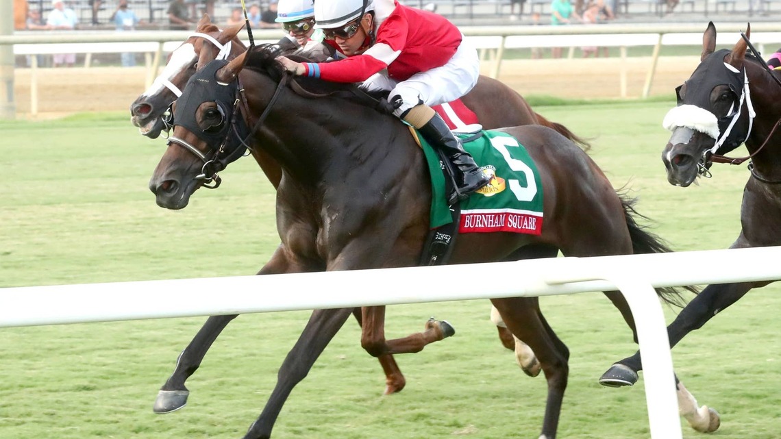 Breeders' Cup Winner Ethical Diamond, Burnham Square Clash In Kentucky Turf Cup 