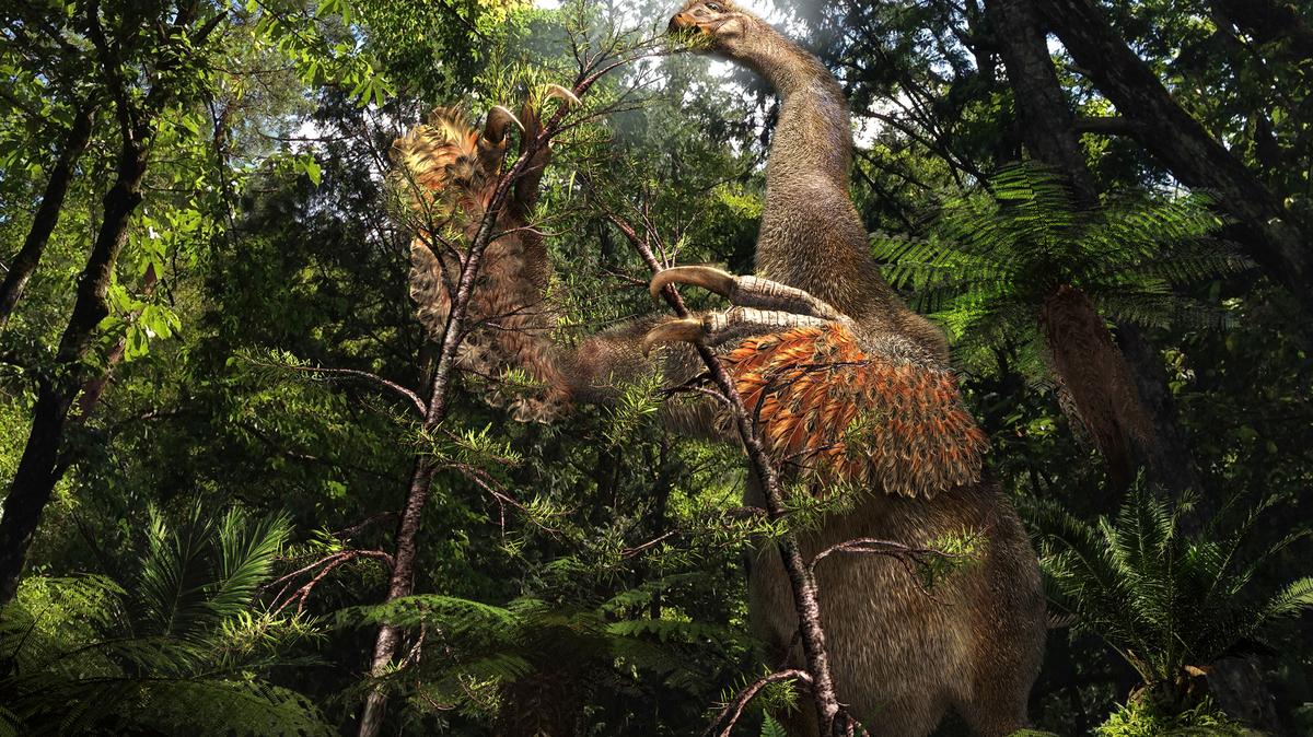This illustration shows a reconstruction of the Cretaceous dinosaur Duonychus tsogtbaatari, whose fossils were unearthed in Mongolia.
