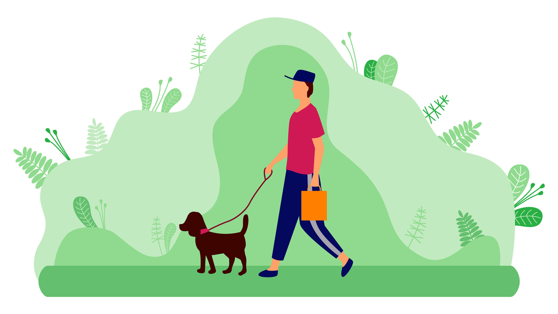 Everything you need to know: Tick-borne diseases in dogs