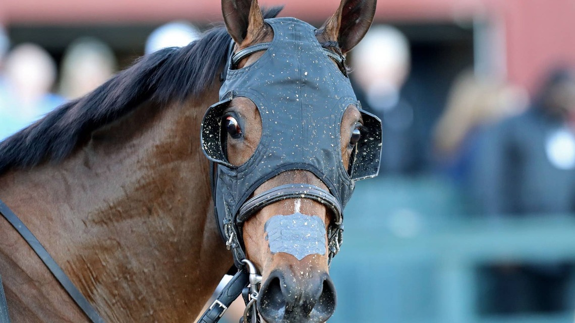 Nitrogen Breezes At Belmont For Beldame 