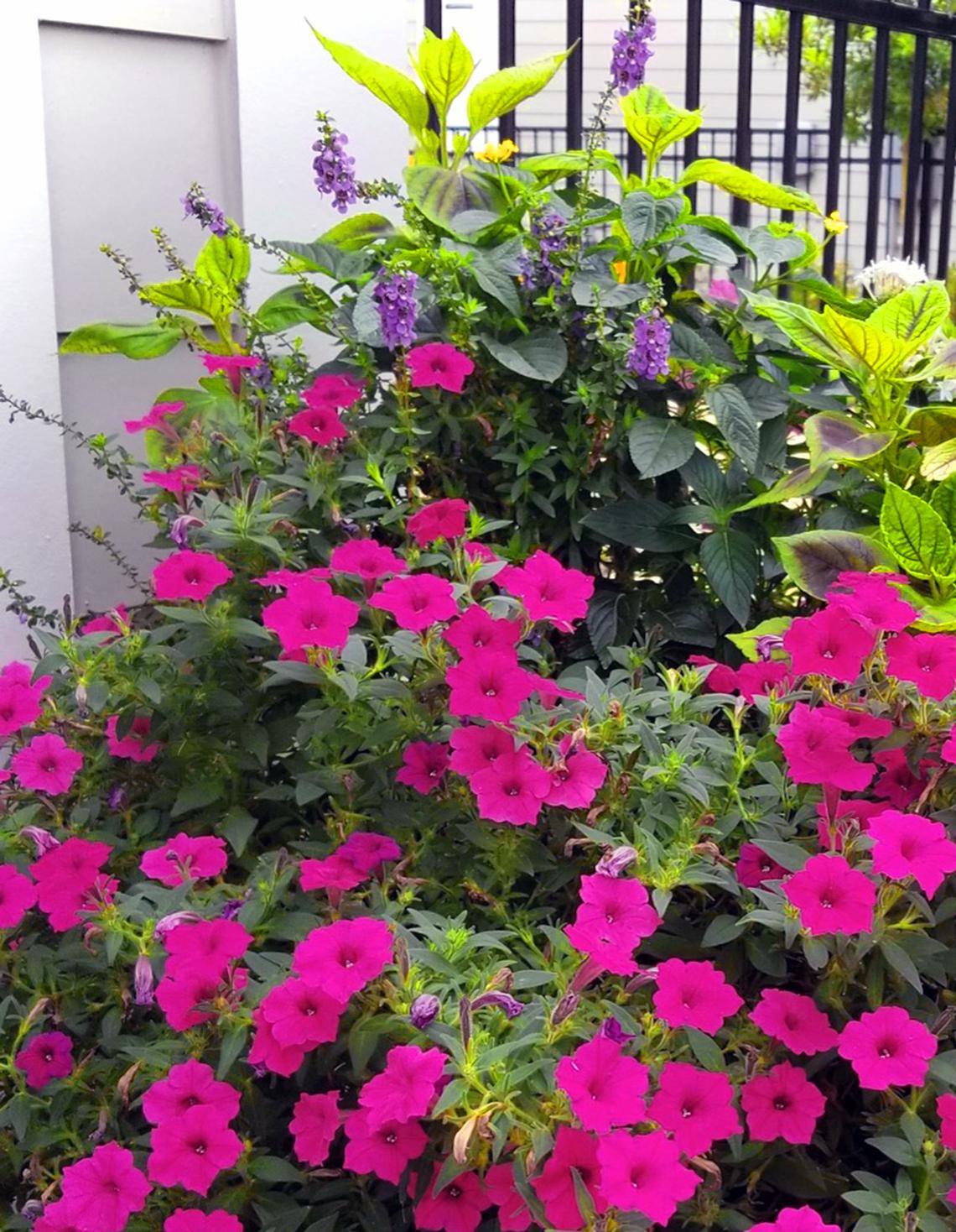 Handout/Norman Winter/TNS