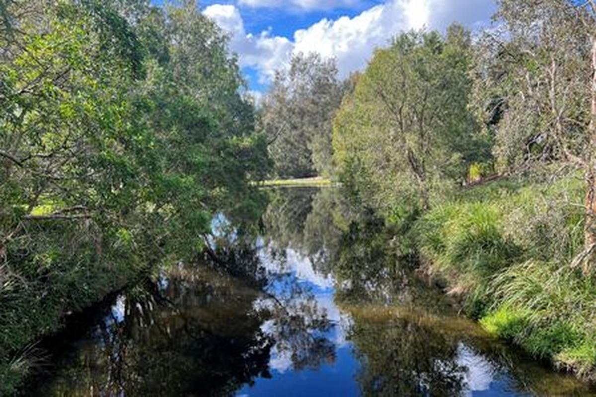 FILE PHOTO: A view of York's Hollow waterhole at the Victoria Park-Barrambin, where the main stadium will be built for the 2032 Olympics, in Brisbane, Australia July 21, 2025. REUTERS/Nick Mulvenney/File Photo