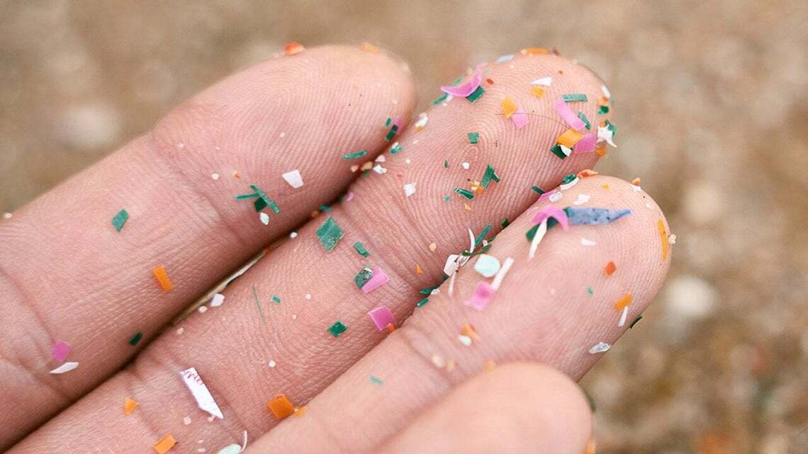 What are the effects of microplastics on bladder health? 