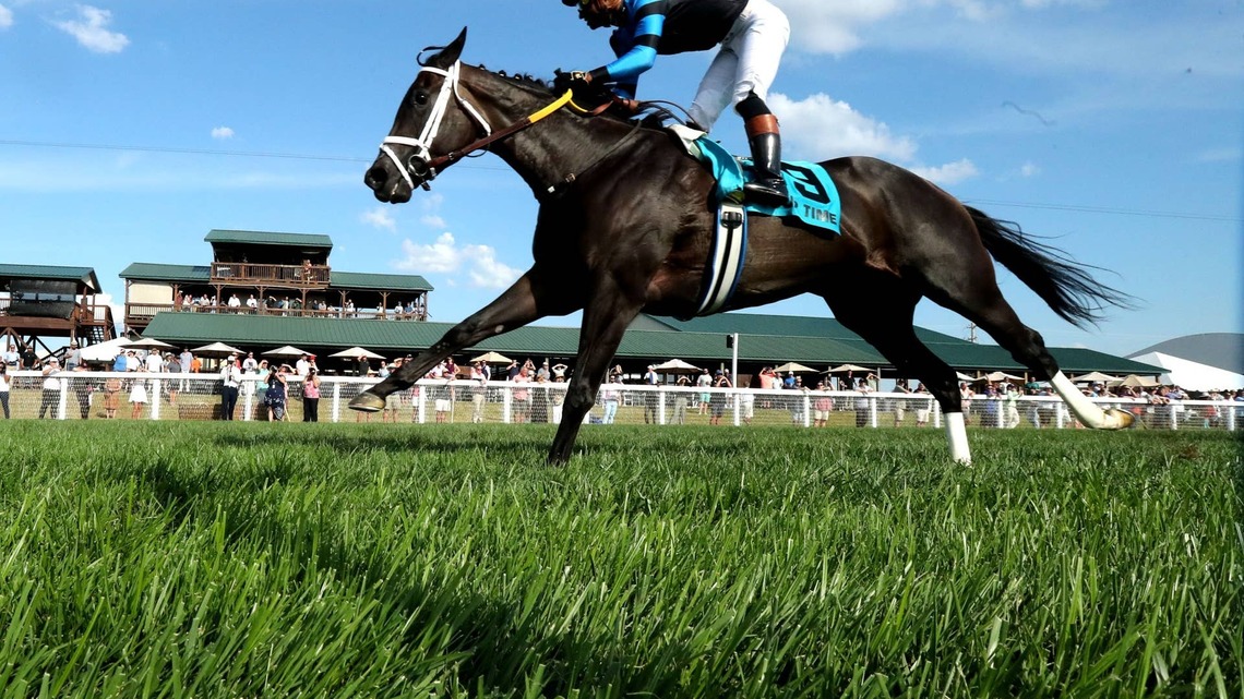 Connections Mull Breeders' Cup Bid For Ladies Turf Sprint Winner In Our Time 