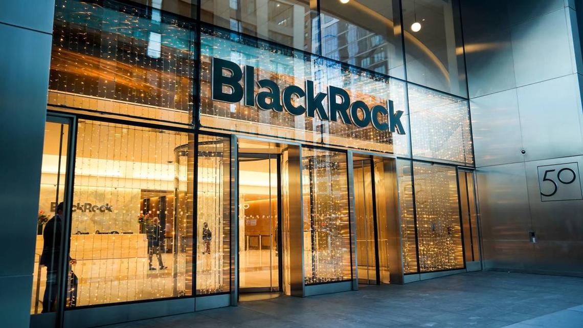 BlackRock uncovered a flaw in retirement plans 