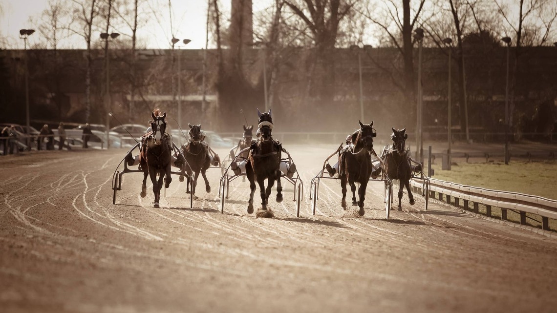 Trainer Suspended After Horse's Leg Falls Through Trailer Floor; Records Detail ‘Disturbing' Aftermath  