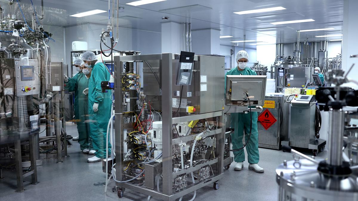 People work in a laboratory at Cristalia, the Brazilian pharmaceutical company that produces polylaminin, in Itapira, Sao Paulo state, Brazil, March 13, 2026. REUTERS/Amanda Perobelli