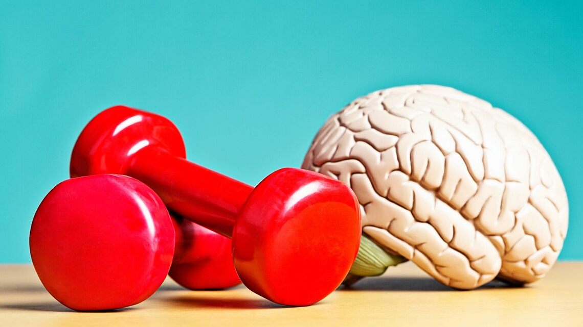 Your brain can be trained, much like your muscles – a neurologist explains how to boost your brain health 