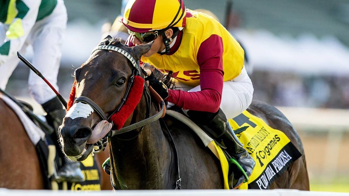 'A Lot Of Natural Speed': Pura Vida Princesa Makes All To Win Senator Ken Maddy 