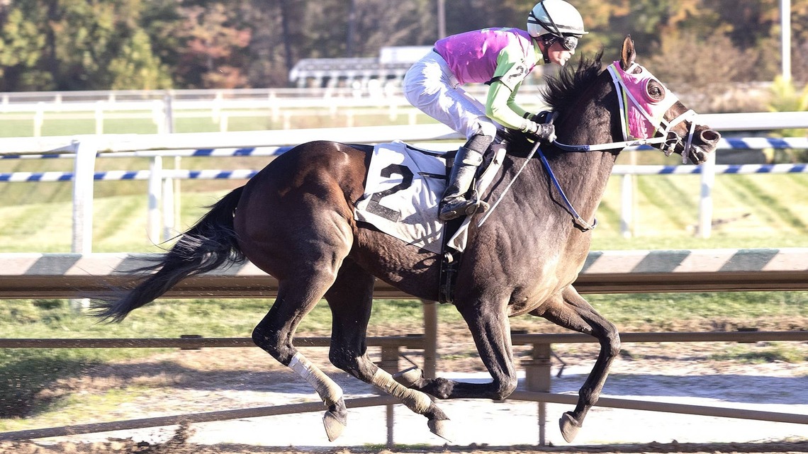 'Maryland's Horse': Barbadian Runner Repeats In Maryland Million Classic 