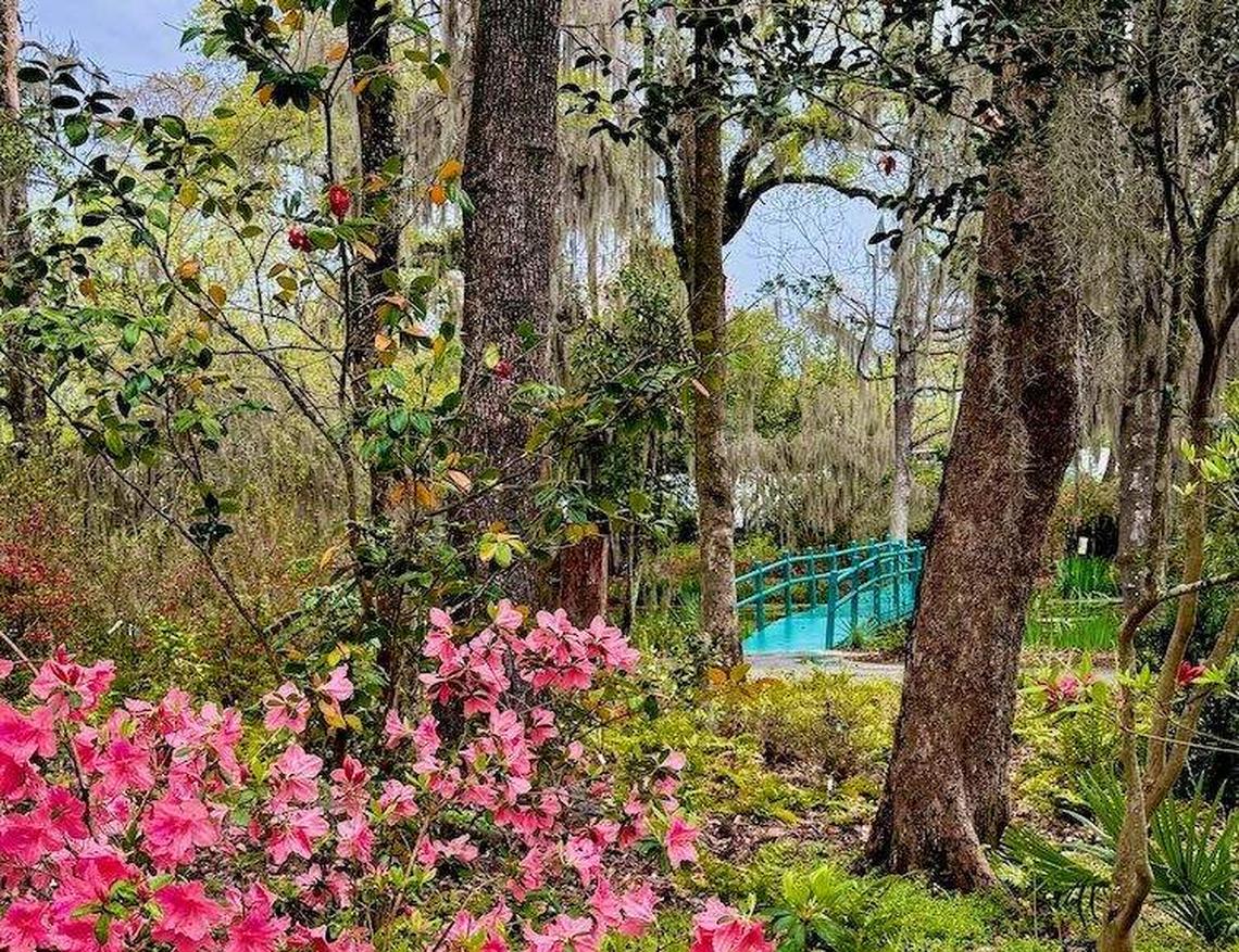  Magnolia Plantation and Gardens, America's oldest public garden. Photo credit: Sharon Kurtz 