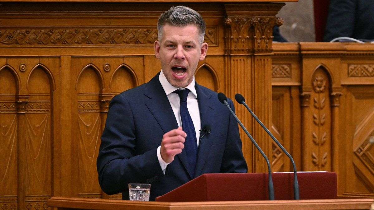Hungary's incoming Prime Minister Peter Magyar delivers a speech during his swearing-in ceremony at the Hungarian parliament in Budapest on May 9, 2026. (Attila Kisbenedek/AFP via Getty Images/TNS)