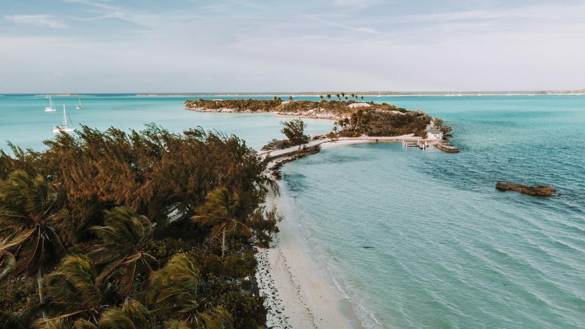 Sharks in Vacation Hotspot Test Positive for Odd Substances 