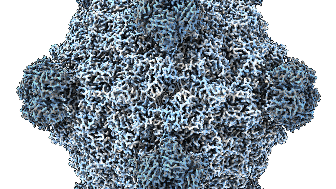 This AI just created viruses not found in nature