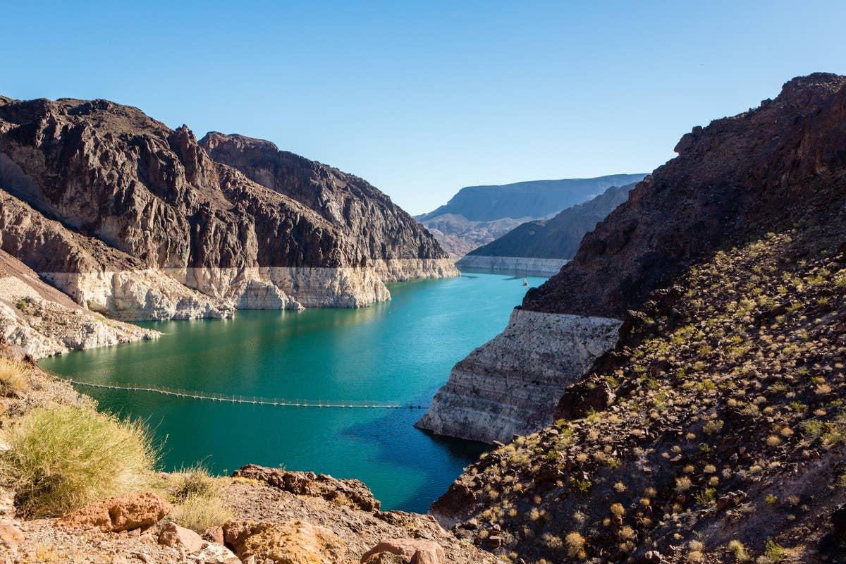  You'll see rattlesnake around Lake Mead.