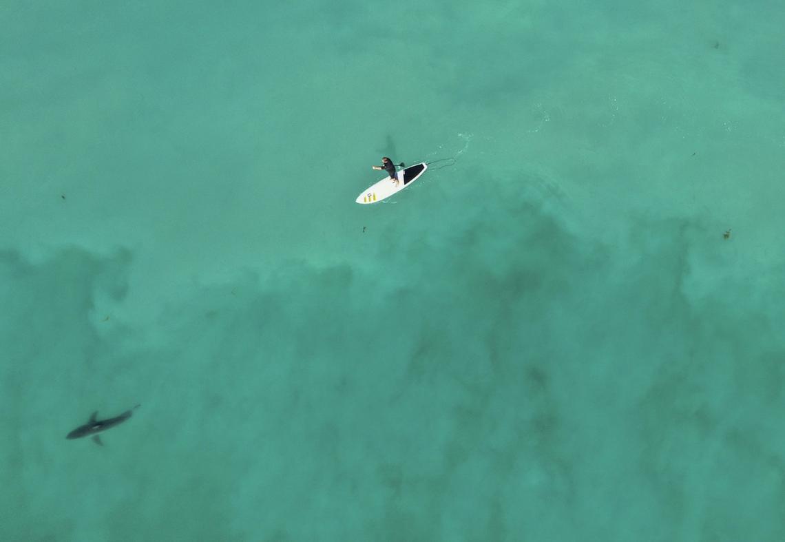 Ana Ramirez/San Diego Union-Tribune/TNS