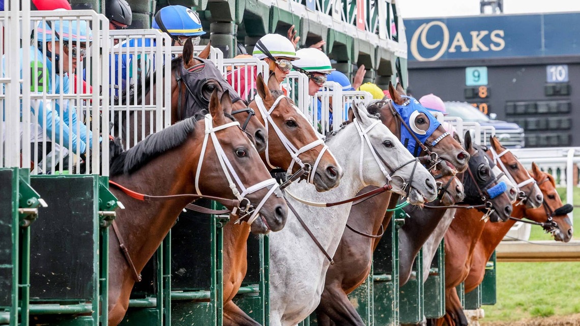 Study Suggests Common Patterns In Racehorses With Catastrophic Pelvic Fractures 