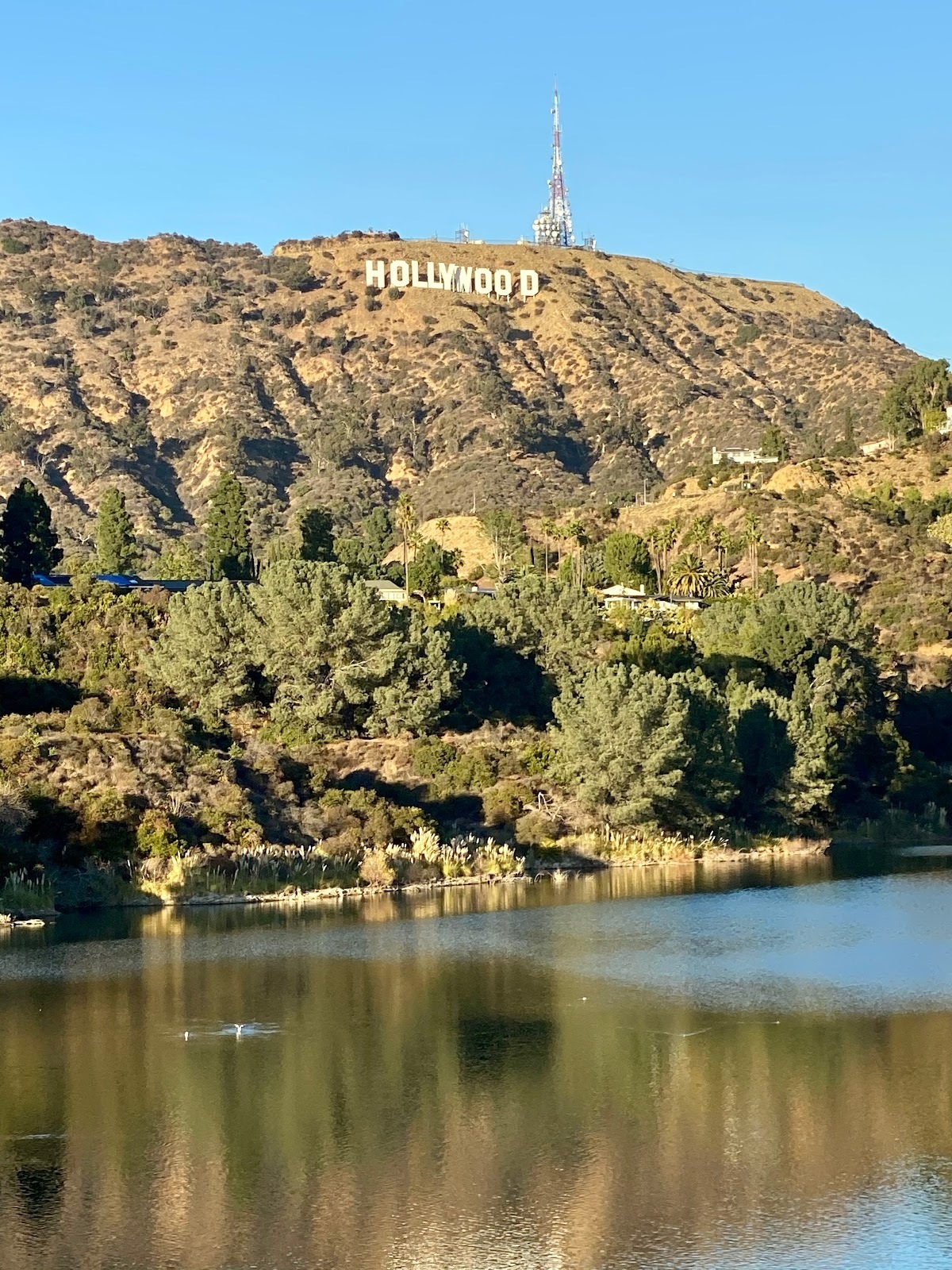  The Hollywood Sign as seen from the Hollywood Reservoir. Photo credit: Margot Black 