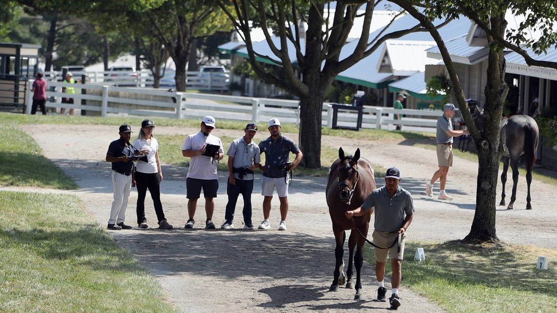 Record Gross Achieved At 2026 Keeneland September Sale 