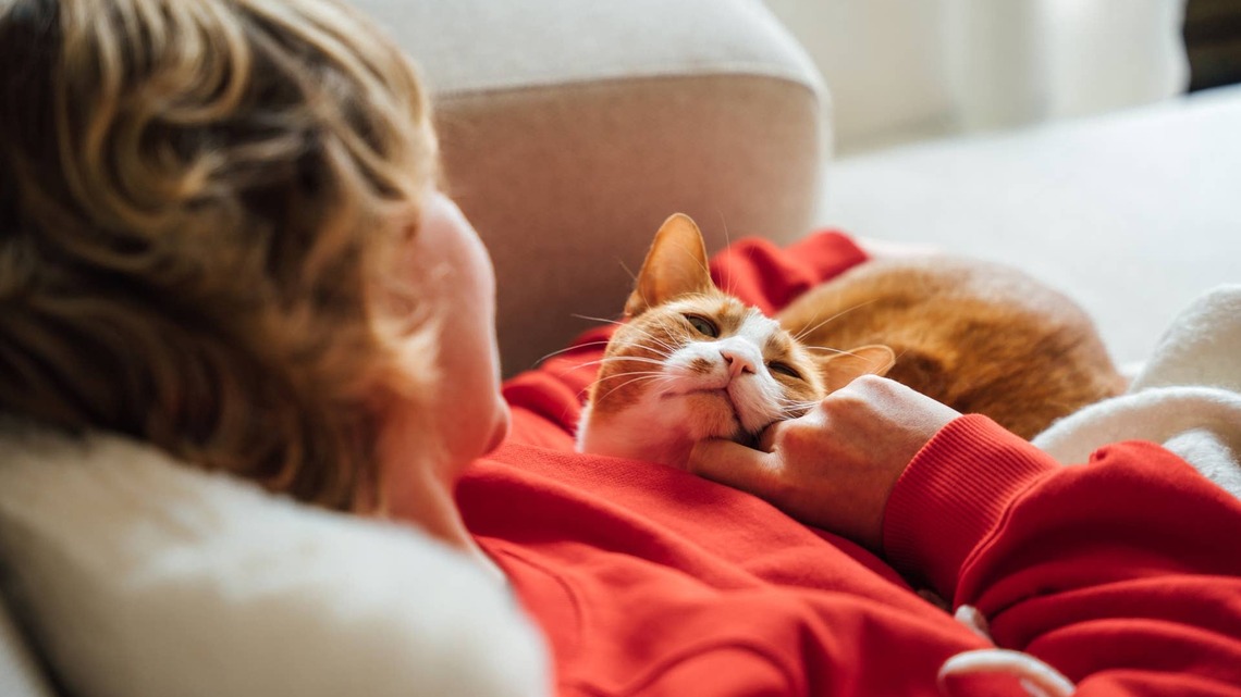 Orange Cat Mom Can't Move After Her Kittens and Newborn Baby All Pile on Top of Her 