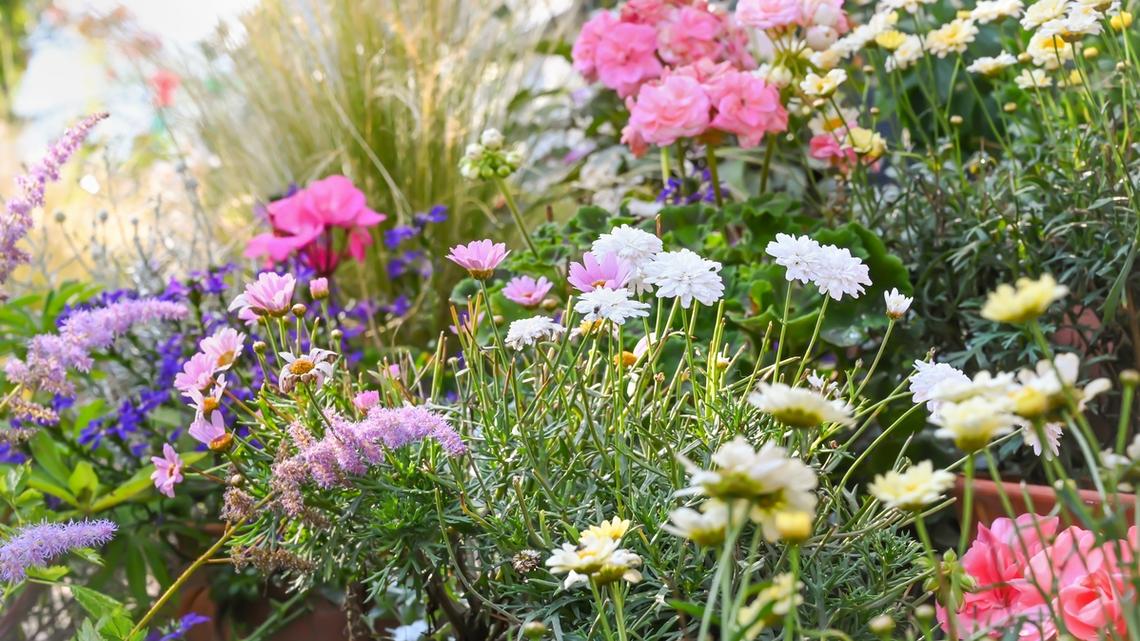 This Video Shows Chaos Gardening Is Back and Full of Whimsy for Spring 