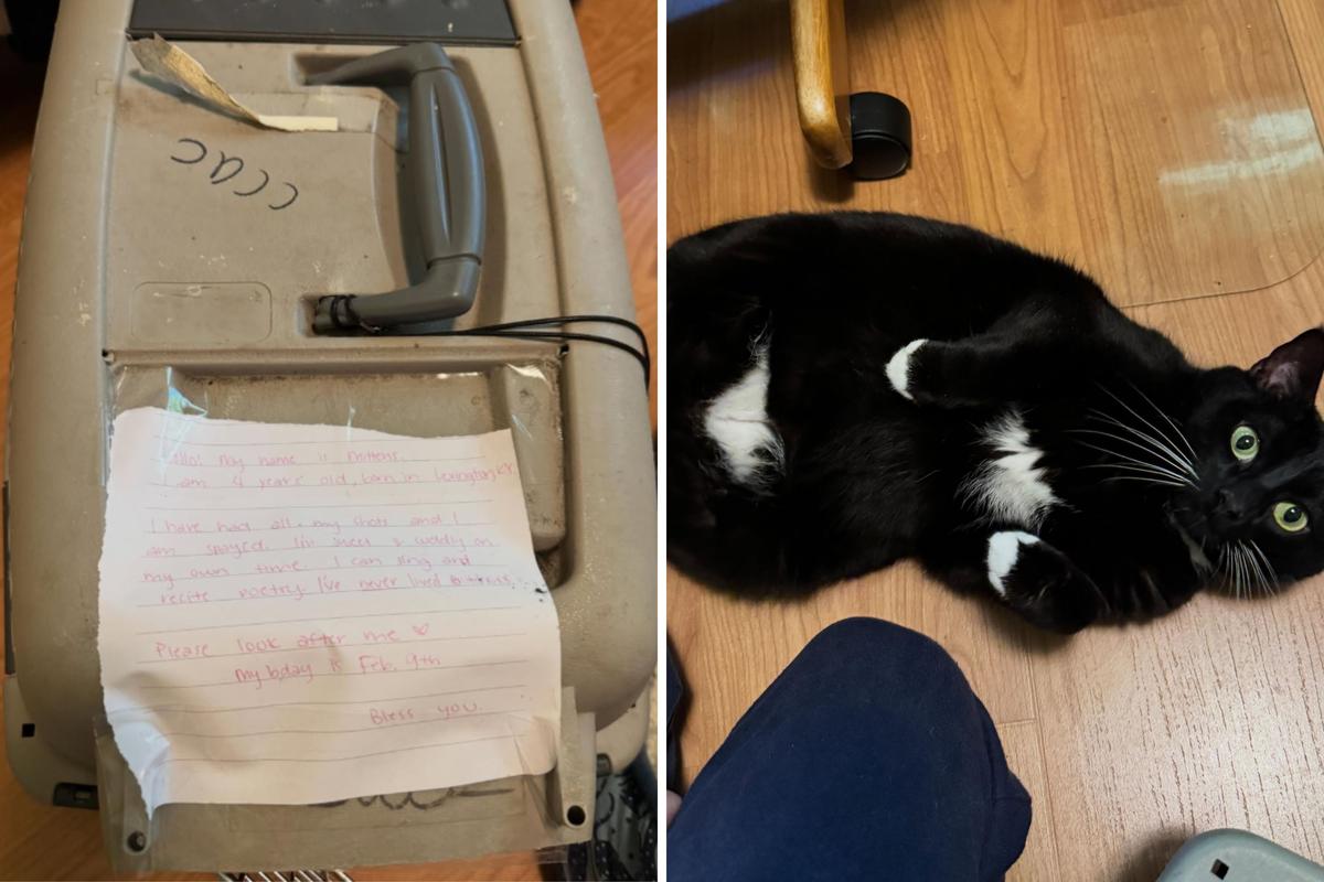  Photos from a May 20 Instagram post about a cat found abandoned in a carrier on the side of the road, with a note asking for help. 