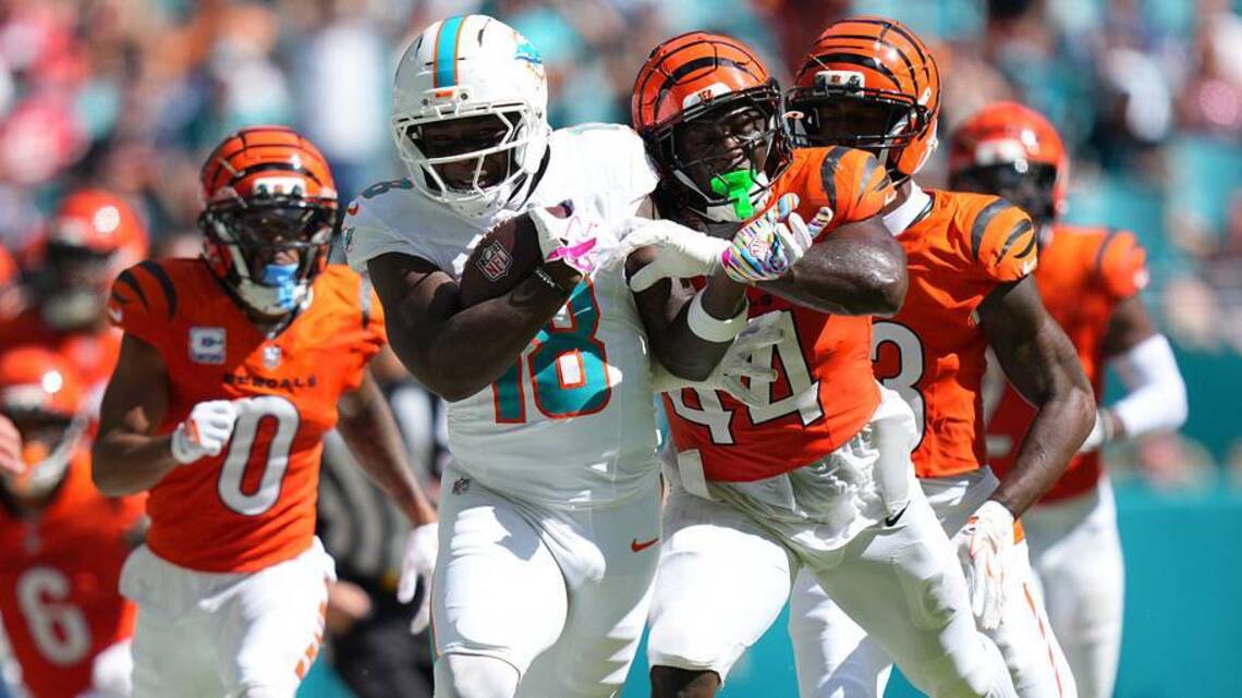 Dolphins Saturday Mailbag: Why Fans Should Want to See Victories