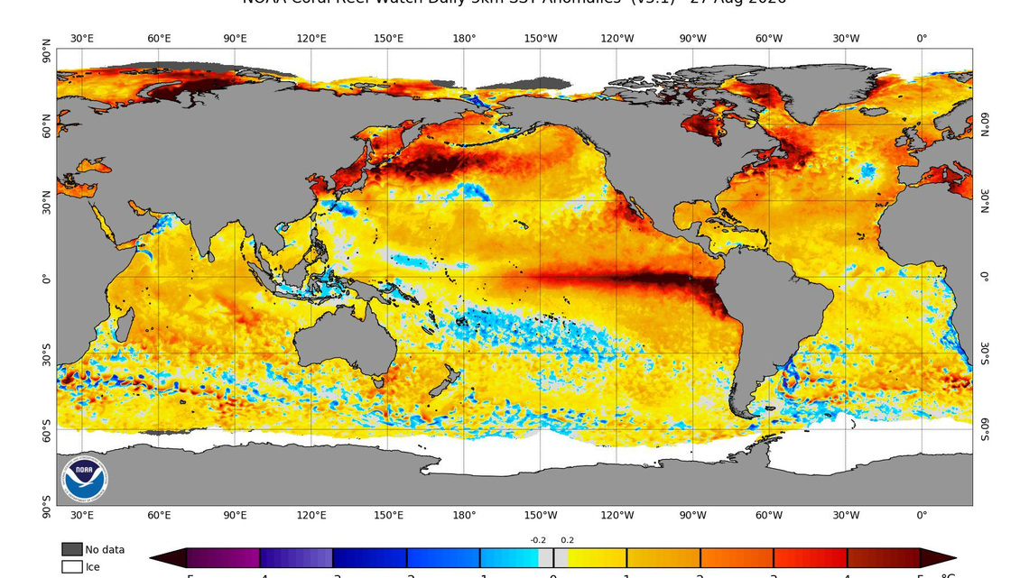 El Niño puts Earth in 'uncharted territory.' Here's what could happen