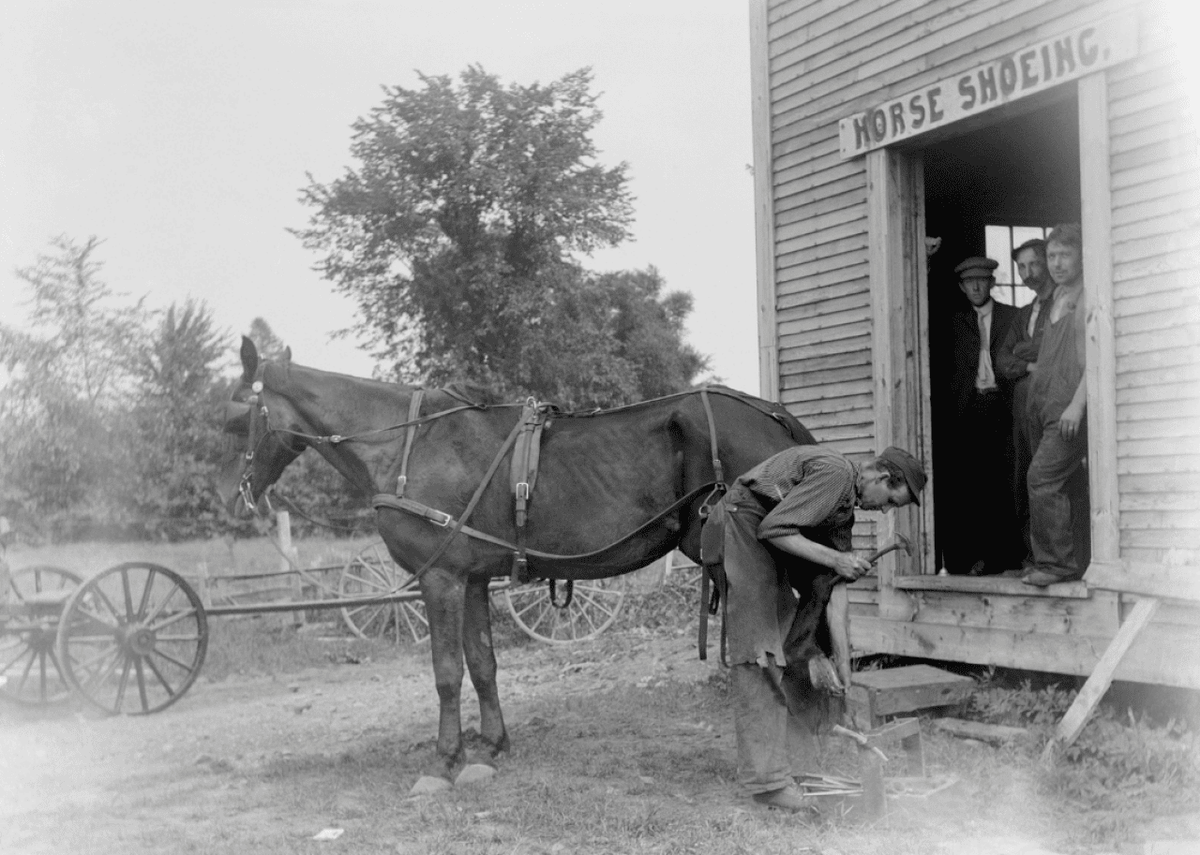  Alexander Alland, Sr./Corbis via Getty Images 