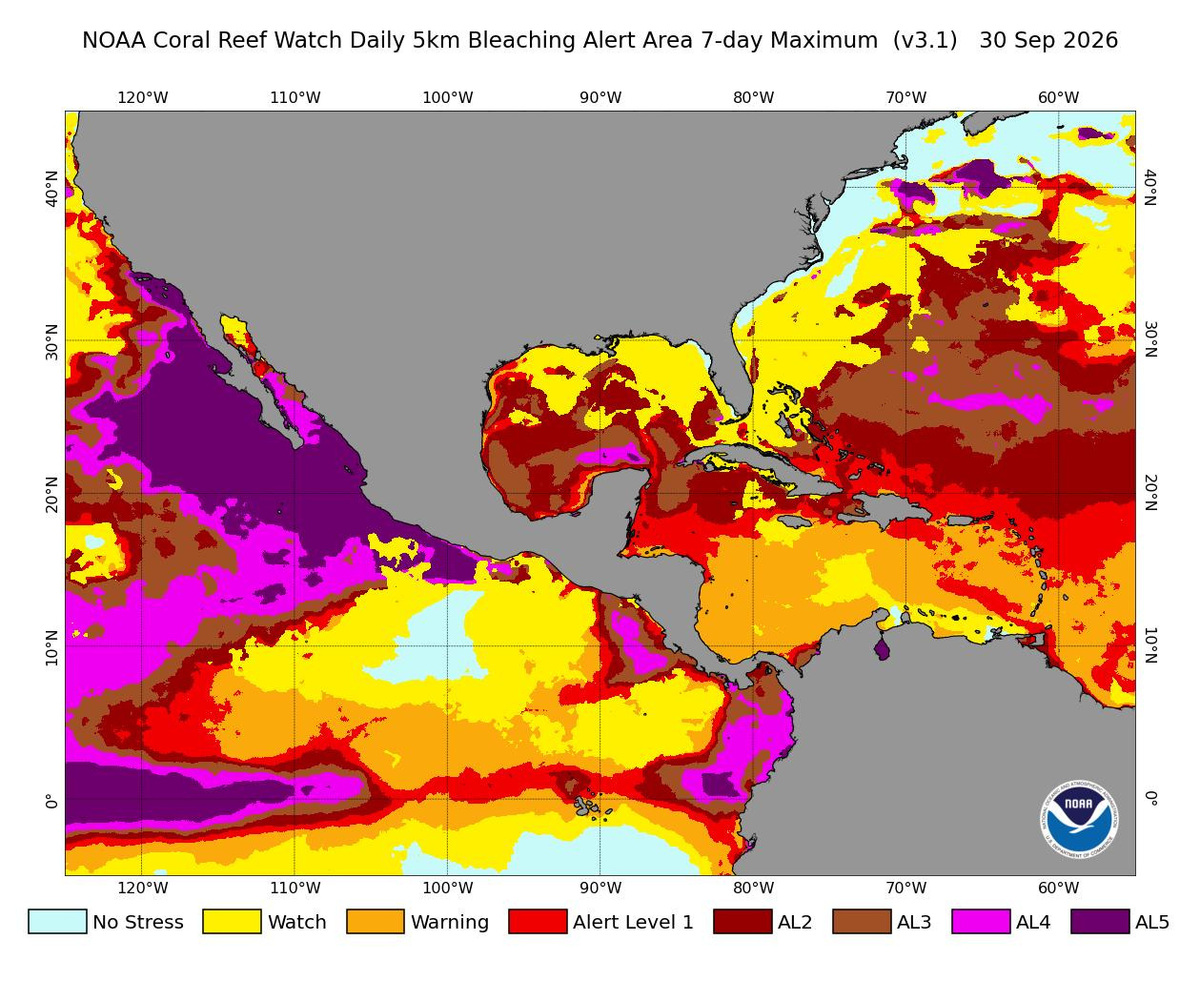 'Perfect storm': El Niño goes off the charts | Merced Sun-Star