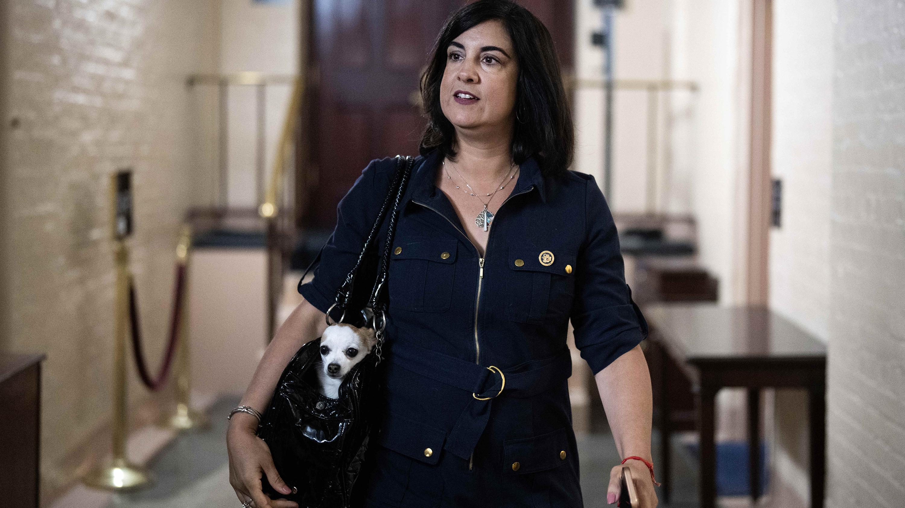 Rep. Malliotakis asks Supreme Court to halt redraw of district 