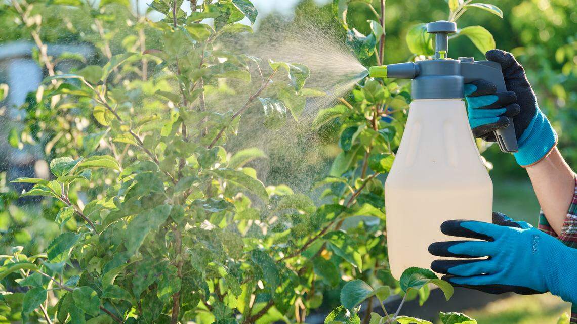 How to Reduce Your Exposure to Pesticides