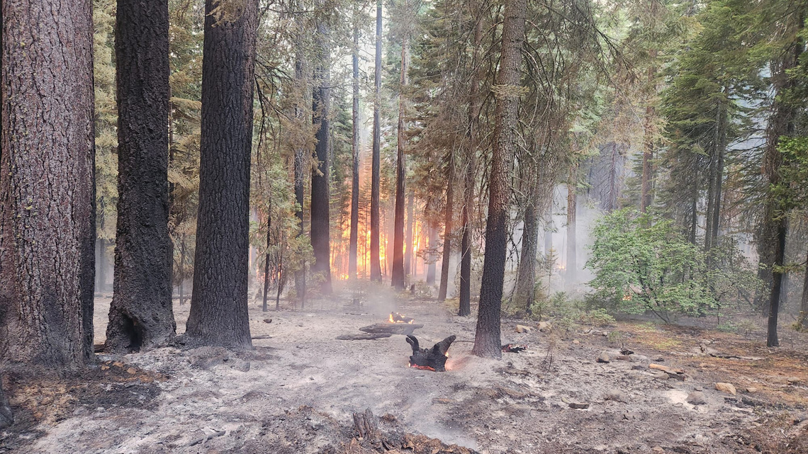 Man who caused Park fire, one of the largest in California history, convicted of arson