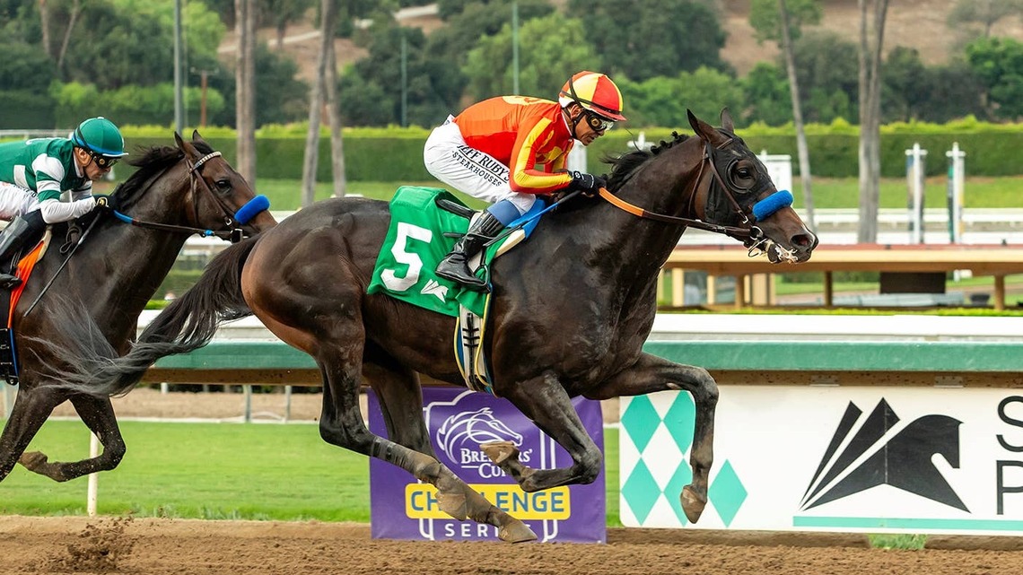 Santa Anita Autumn Meet Features Seven Breeders' Cup Challenge Events 