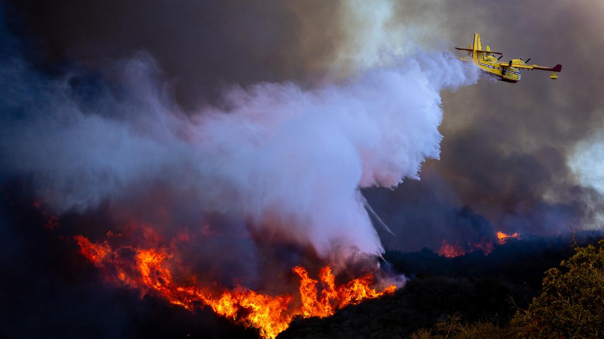 A Super Scooper drops ocean water on a hillside as the Palisades fire rages on Tuesday, Jan. 7, 2025, in Pacific Palisades, Calif. (Brian van der Brug/Los Angeles Times/TNS)