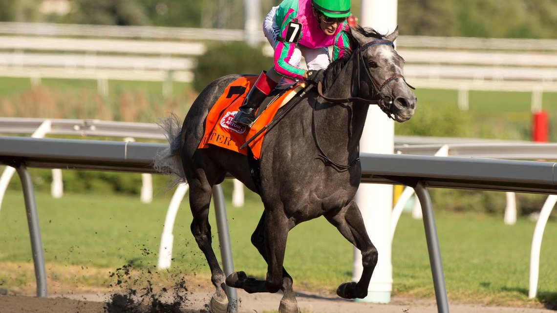 Karma Breeds Success For King's Plate Contender Luster's Ravi Sugrim 