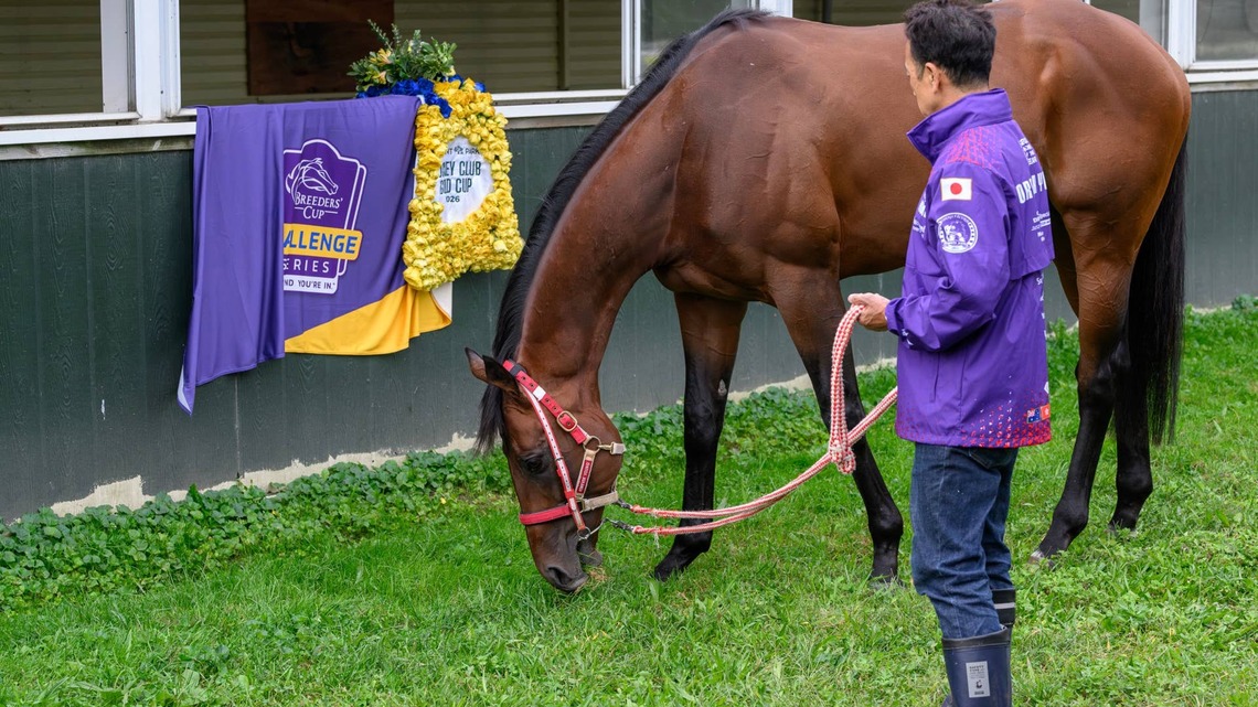 Forever Young First In Final Breeders' Cup Classic Rankings 
