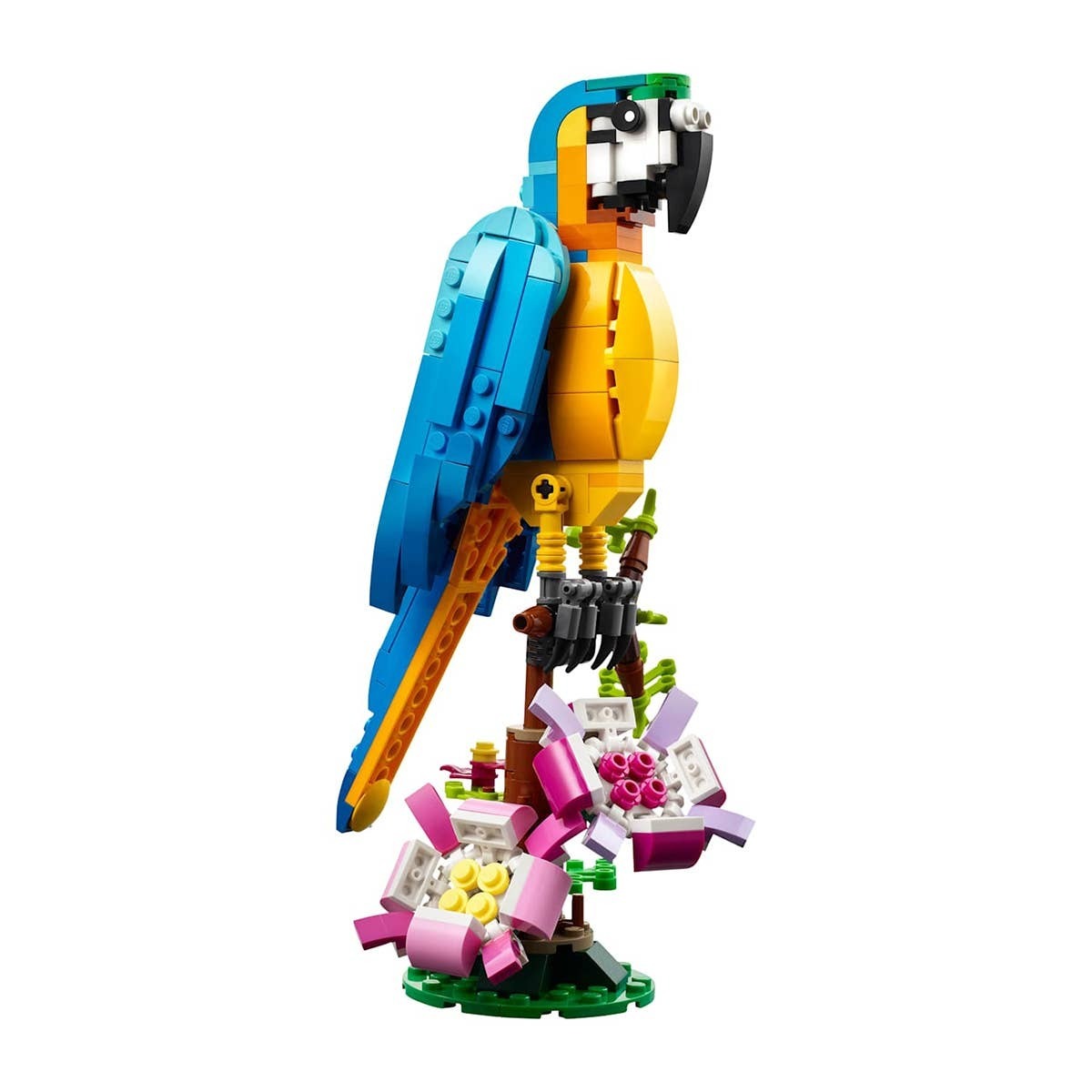  LEGO Exotic Parrot.