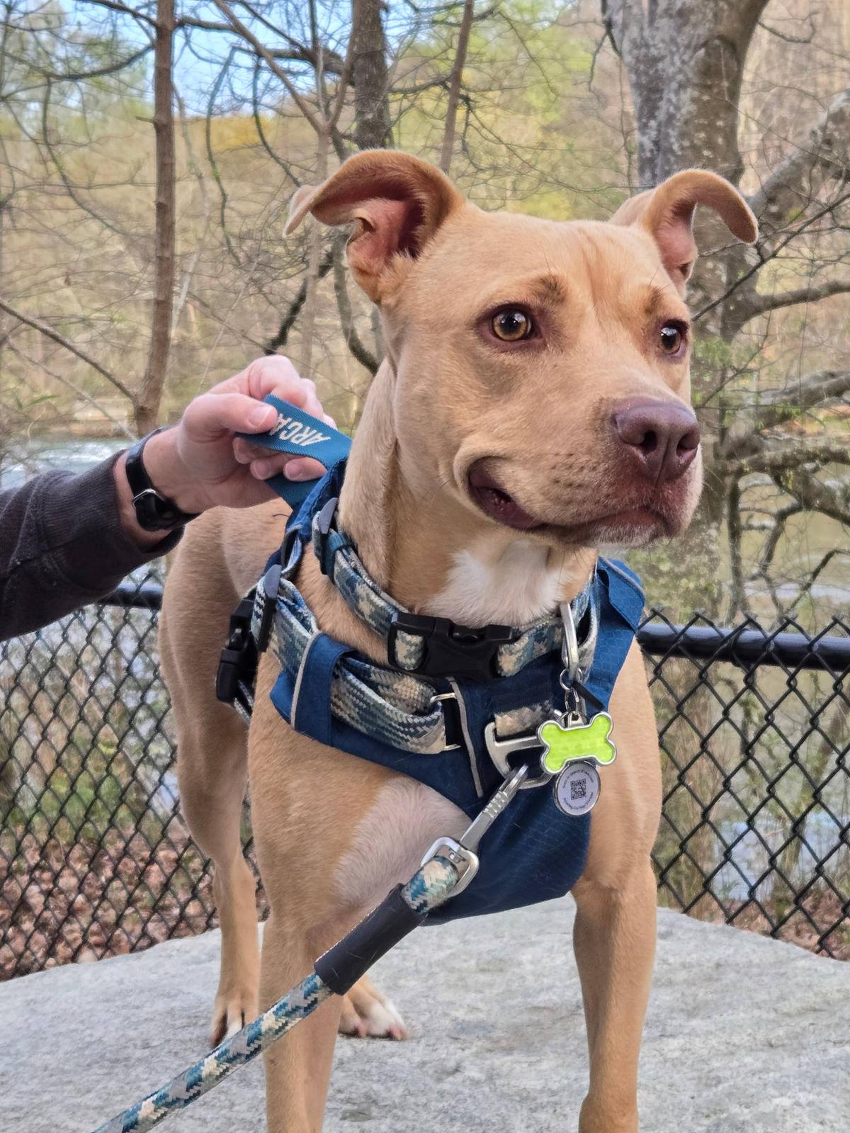  Lillie enjoying life with her new family.