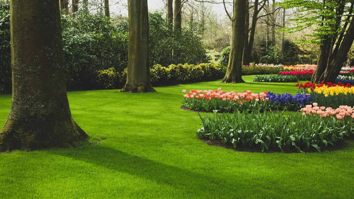 5 Late-Summer Lawn Mistakes That Will Secretly Ruin Your Grass Next Spring 