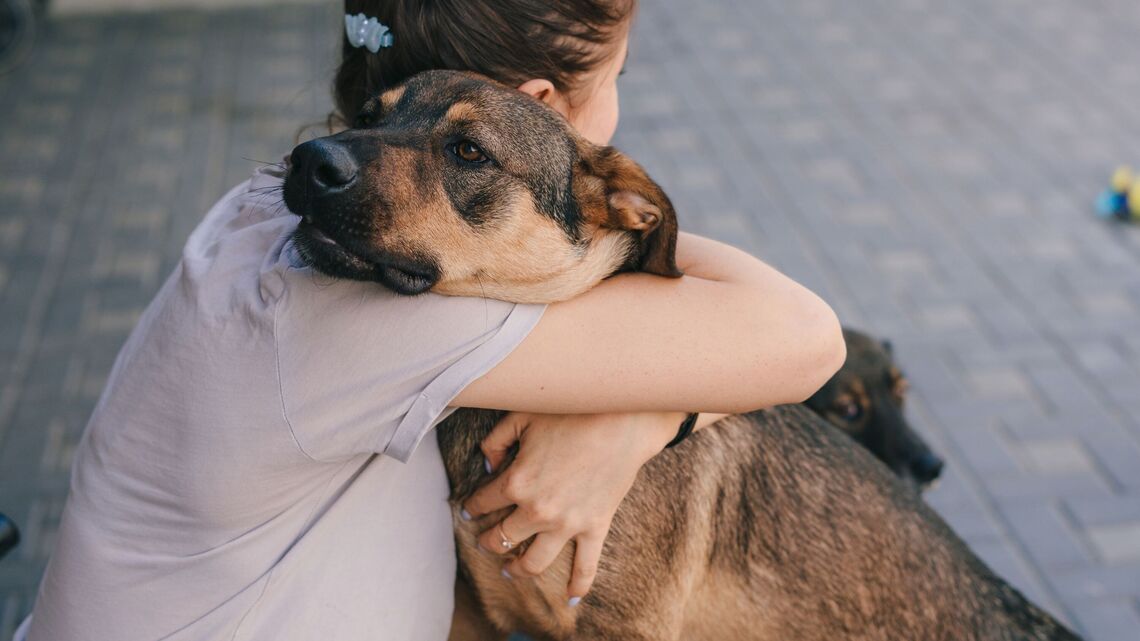 Why Hugging Your Dog May Be Doing More Harm Than Good, Expert Explains 