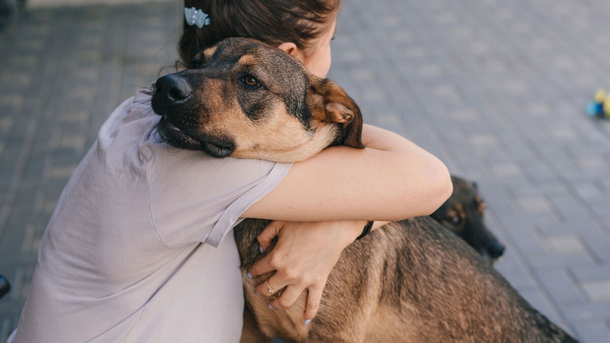 A stock image of a woman hugging a dog, who appears to be uncomfortable being wrapped in her arms.