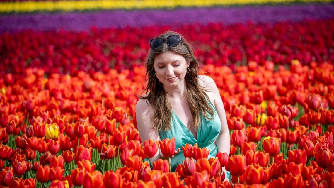 (James Linsell Clark via SWNS). 