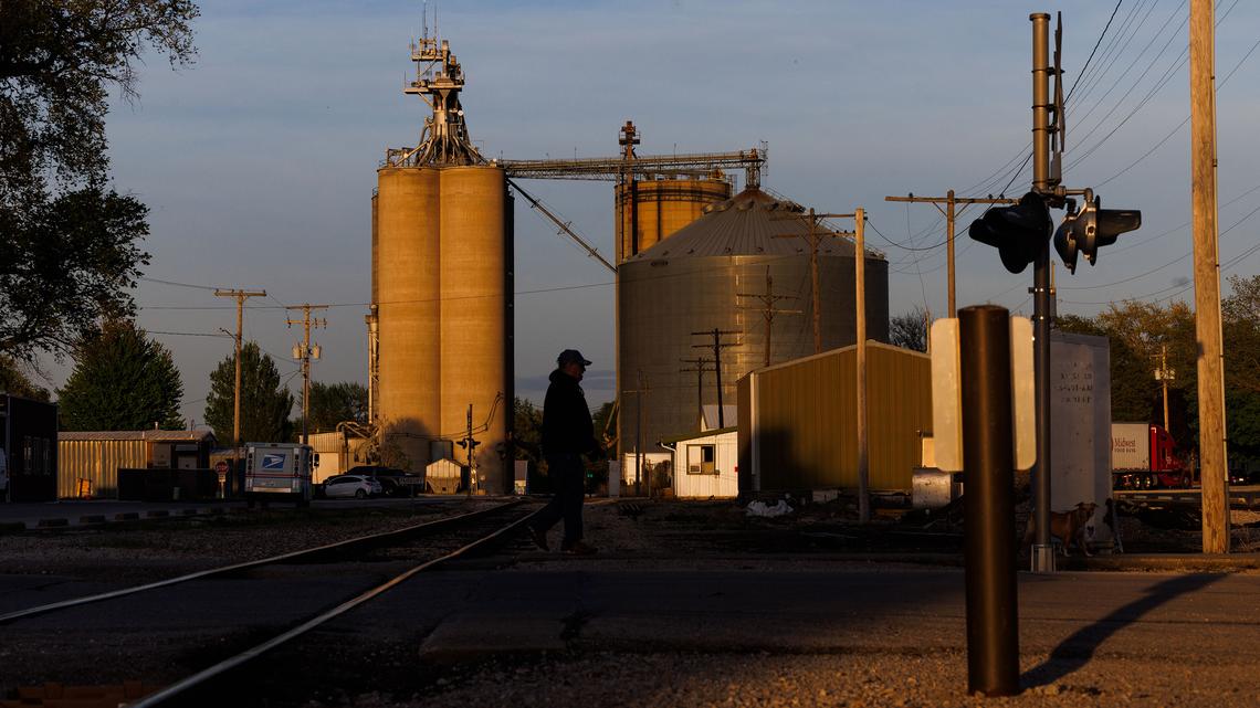 Crop futures surge as US signals $17 billion in China purchases 