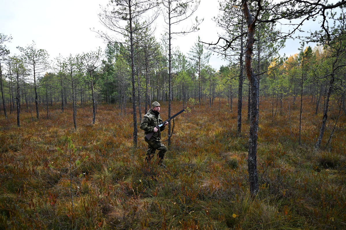 Siberian hunters declare open season on bears after spate of deadly ...