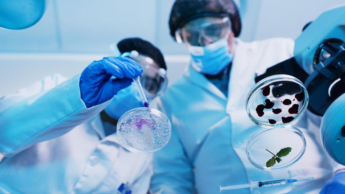 How Disease Names Change-and Why PCOS Is the Latest Example 