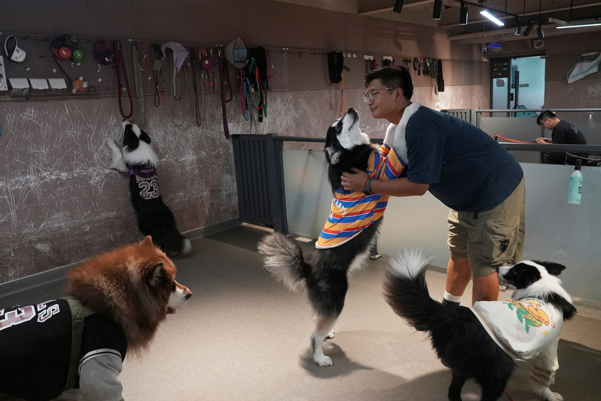 Jann Zhang, founder and principal of Paw³, a kindergarten for dogs, interacts with a dog in Shanghai, China, June 2, 2026. REUTERS/Nicoco Chan