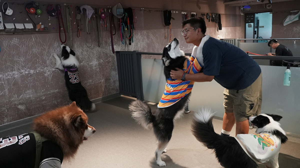 Jann Zhang, founder and principal of Paw³, a kindergarten for dogs, interacts with a dog in Shanghai, China, June 2, 2026. REUTERS/Nicoco Chan